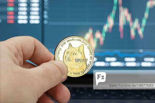 Hand hält eine Dogecoin Münze und Diagramm auf Laptop Display im Hintergrund. Cryptocurrency Handel oder Investitionen Konzept