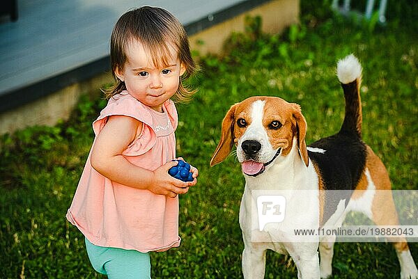 Niedliche Baby Mädchen zusammen mit Beagle Hund im Garten im Sommer Tag. Haustier mit Kindern Konzept