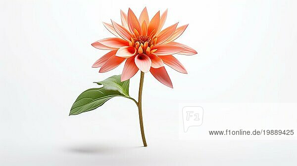 Eine einzelne rosafarbene und orangefarbene Blume mit Stängel und Blättern vor weißem Hintergrund  die eine minimalistische und ruhige Schönheit vermittelt  die Ai erzeugt hat