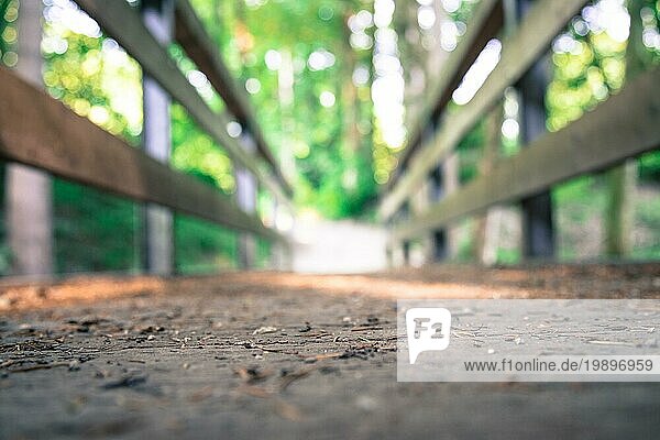 Holzbrücke im Wald  unscharfer Hintergrund