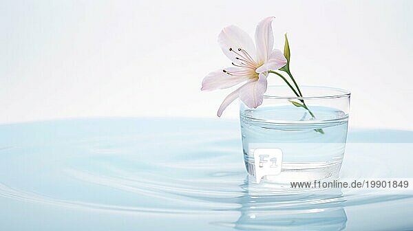 Eine zarte weiße Blume in einem Glas Wasser auf einer Fläche  die eine ruhige Reflexion erzeugt Ai erzeugt