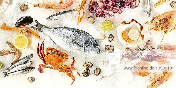 Fisch und Meeresfrüchte Panorama  eine Flachaufnahme verschiedener frischer Produkte von oben. Seebrassen  Krabben  Sardinen  Jakobsmuscheln  Garnelen (u.a.)