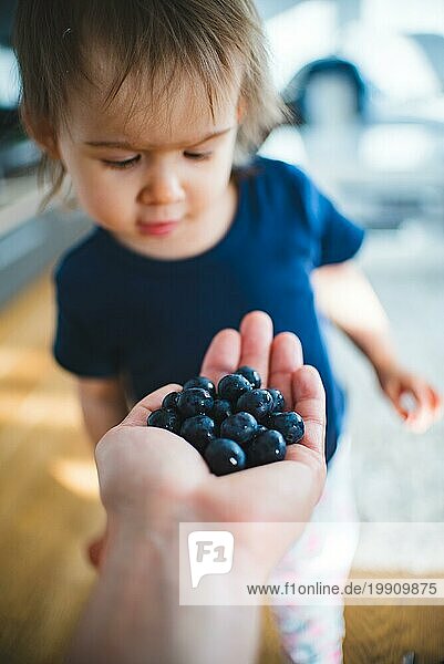 Adorable Baby glücklich zu sehen  die Hand voll mit Blaubeeren. Porträt von 1  2 Jahre altes Mädchen. Gesunde Ernährung Konzept. Selektiver Fokus auf Blaubeeren
