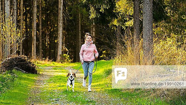 Junge Frau und Hund laufen zusammen auf dem Land im Wald. Fröhliche Frau  die mit ihrem Haustier im Freien trainiert. Aktive Menschen Konzept