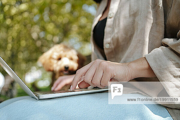 Freelancer working on laptop with dog in park
