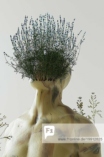 3D render of flowers growing on head of shirtless man