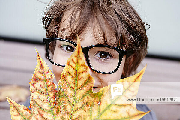 Boy wearing eyeglasses holding leaf in front of face