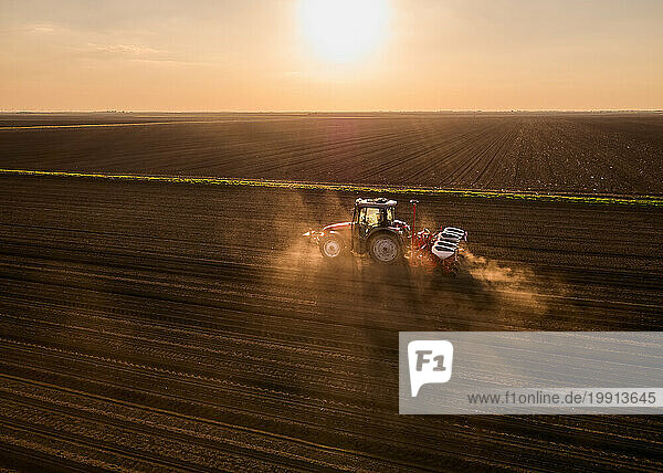 Serbia  Vojvodina Province  Aerial view of tractor sowing seeds at sunset