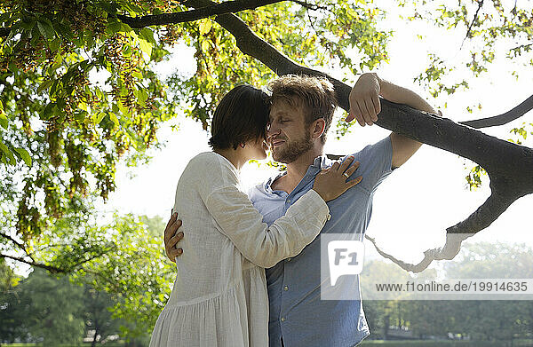 Woman embracing man with arm around branch of tree at park
