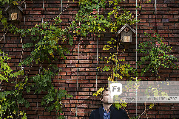 Businessman with eyes closed leaning on brick wall overgrown with plants