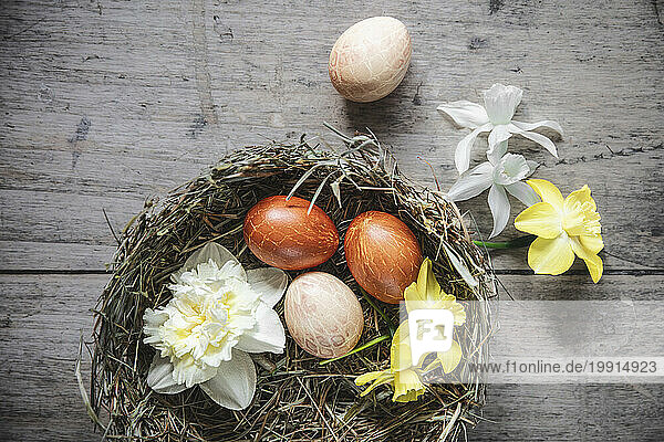 Easter eggs and daffodil heads in decorative nest
