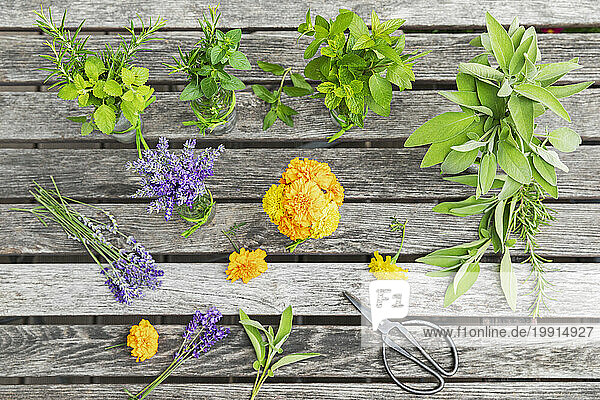 Herbs and edible flowers on wooden table