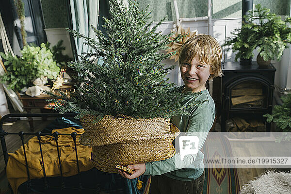 Smiling boy holding Christmas tree in basket at home