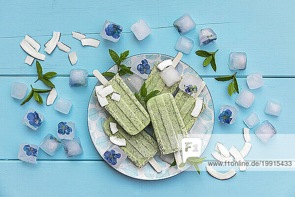 Studio shot of ice cubes with edible flowers and homemade mint and coconut popsicles