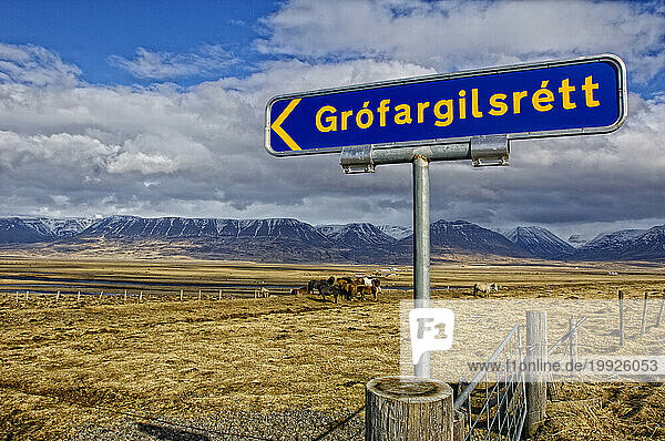 A road sign for Grofargilsrett in Iceland on a horse farm