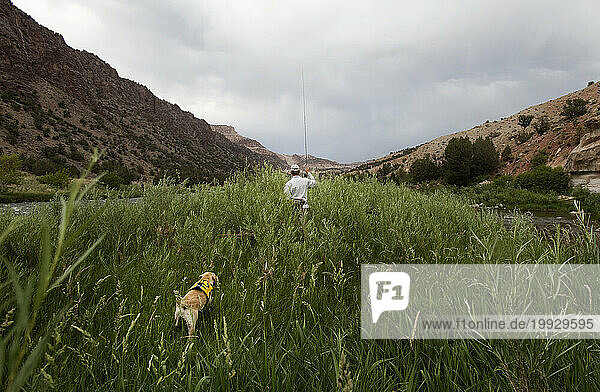 A fly fisherman and his dog walk through tall grass on the Gunnison River