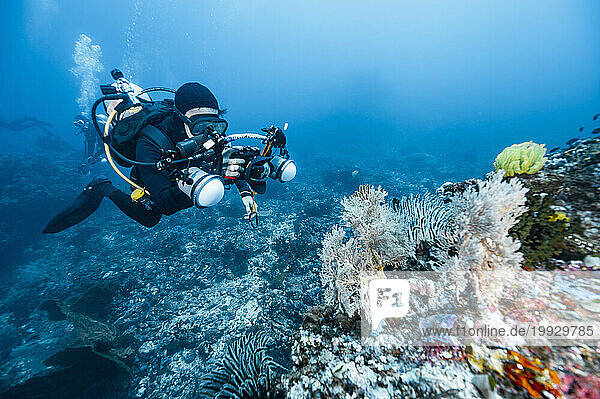 underwater photographer exploring the rich marine life in Alor