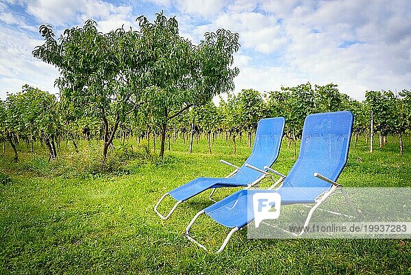 Sommerliche Entspannung mit Stühlen auf einem Weinberg im Burgenland