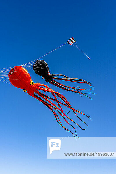 Octopus shaped kites flying against blue sky
