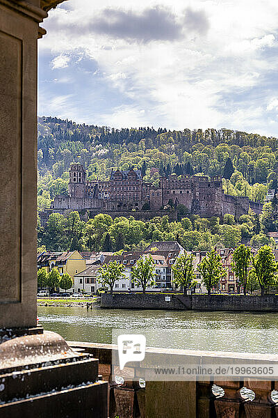 Germany  Baden-Wurttemberg  Heidelberg  Ruins of Heidelberg Castle with Neckar river in foreground