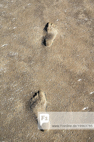 Two footprints in brown mud