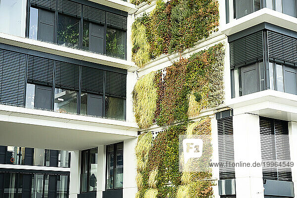 Germany  Baden-Wurttemberg  Freiburg im Breisgau  Overgrown wall of modern apartment building