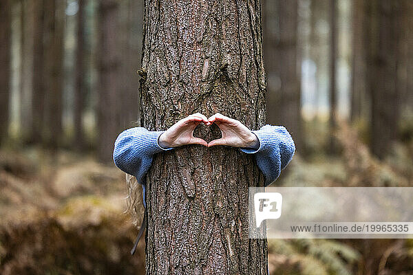Woman gesturing heart shape over tree trunk in Cannock chase forest