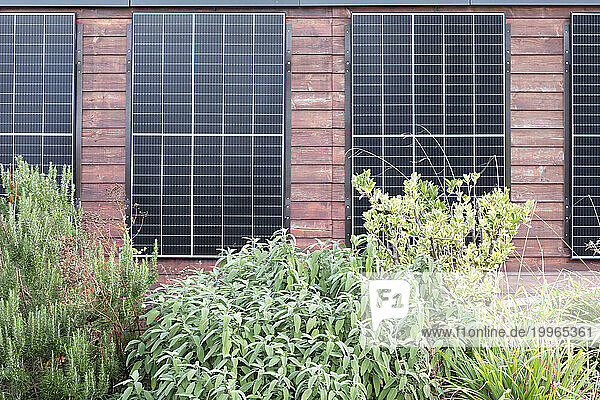 Germany  Baden-Wurttemberg  Freiburg im Breisgau  Solar panels on building wall with bushes in foreground