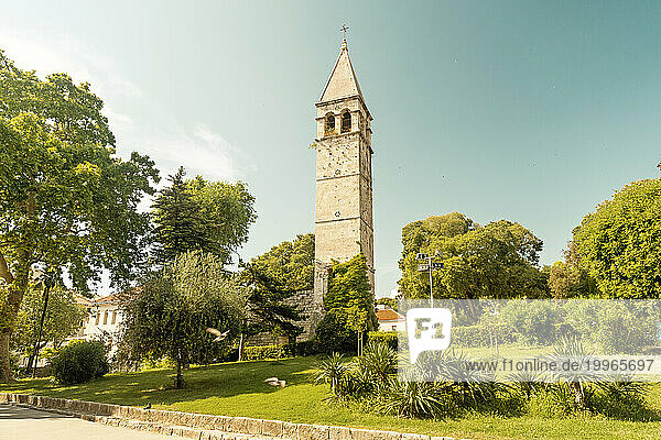 Croatia  Split-Dalmatia County  Split  Green trees in front of Bell Tower of St. Arnir