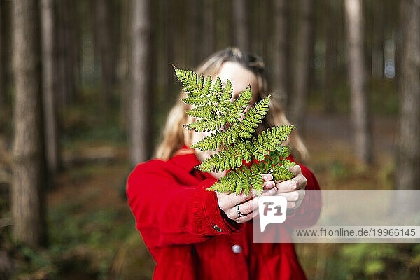 Young woman holding fern leaf in Cannock chase forest