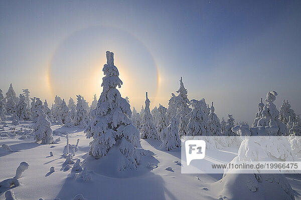 Germany  Saxony  Halo over snow-covered landscape of Ore Mountains
