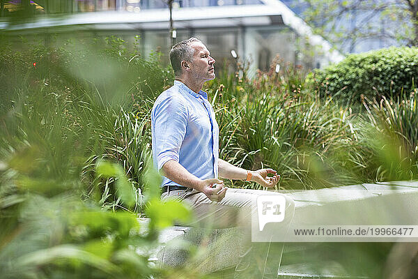 Businessman meditating near plants at office park