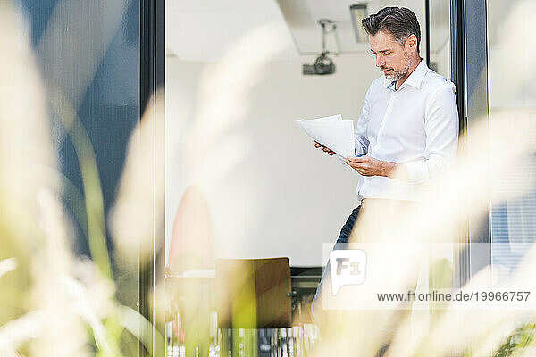 Mature businessman leaning on door and reading documents