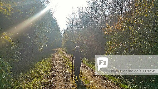Eine Seniorin beim Nordic-Walking auf einem Waldweg im Gegenlicht der Sonne