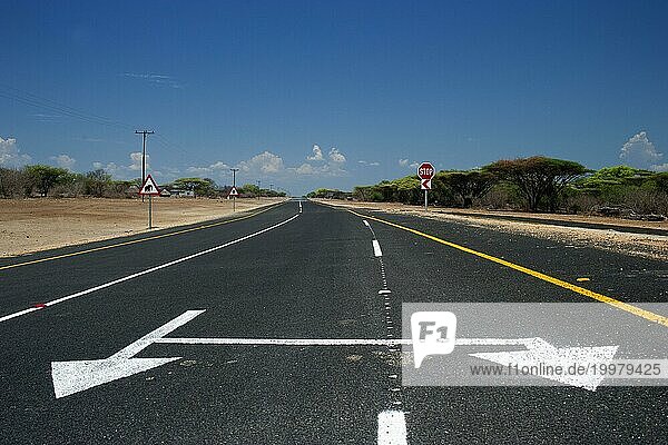 Strasse mit doppeltem Richtungspfeil  Asphalt  verwirrend  Richtung  Richtungspfeil  Straße  Verkehr  Verkehrsregel  niemand  leer  Einsam Roadtrip  Botswana  Afrika