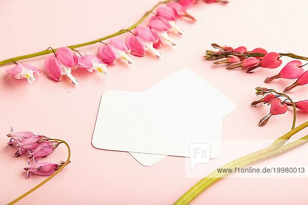 Weiße Visitenkarte mit rosa Dicentra  gebrochenes Herz Blumen auf rosa Pastell Hintergrund. Seitenansicht  Kopie Raum  Mockup  Vorlage  Frühling  Sommer Minimalismus Konzept