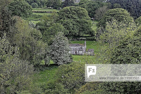 Eine idyllische ländliche Szene mit einem versteckten Steinhäuschen umgeben von grüner Vegetation  Old House in den Yorkshire Dales. England  Großbritannien  Europa
