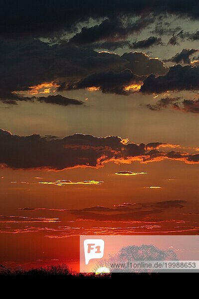 Afrikanischer Sonnenuntergang  Sonne  Abendhimmel  romantisch  Romantik  Sehnsucht  Emotion  Reise  Urlaub  roter Himmel  Abendrot  Natur  Landschaft  Moremi Nationalpark  Botswana  Afrika