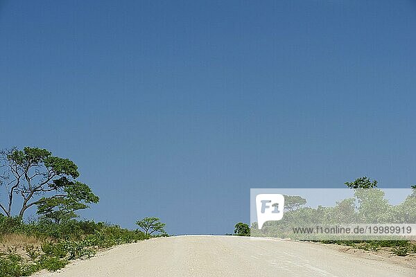 Die C44 bei Tsumke  Strasse  Highway  Weg  niemand  blauer Himmel  einsam  Roadtripp  Landschaft  Reise  Auto  Abenteuer  Sandpiste  Entfernung  Namibia  Afrika