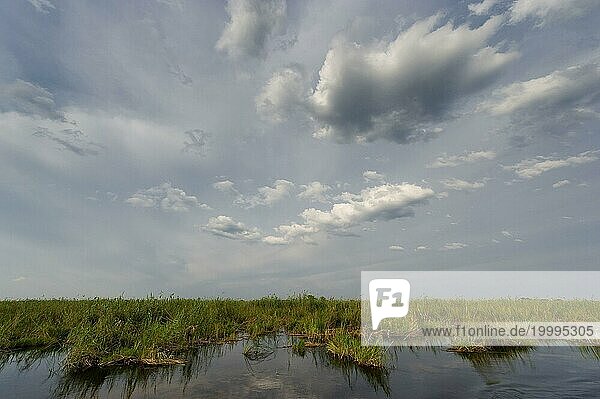Flussfahrt im Okavango Delta  Schilf  Wolken  Natur  Naturlandschaft  Landschaft  niemand  puristisch  Kwando River  BwaBwata Nationalpark  Namibia  Afrika