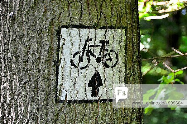 Zeichen für einen Fahrradweg an einem Baum in Polen