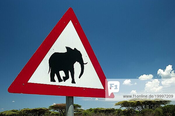Warnung vor Elefanten  Verkehrsschild  Verkehr  Elefant  Warnschild  Naturschutz  Wildnis  Hinweis  Achtung  Sicherheit  Safari  Tourismus  Reise  Botswana  Afrika