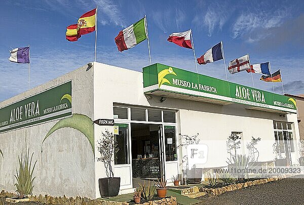 Aloe vera Fabrikladen  Oliva  Fuerteventura  Kanarische Inseln  Spanien  Europa