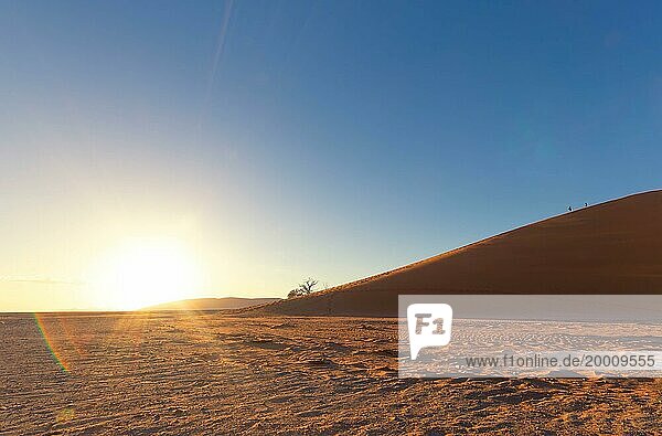 Sunrise over a vast desert landscape  Dune 45  Big daddy  sand dune  safari  wildlife  Etosha National Park  Namibia  Africa