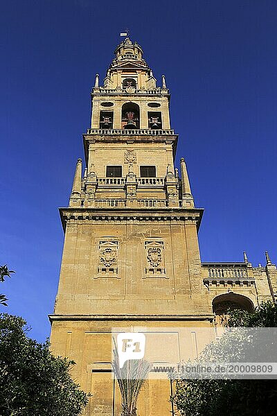 Glockenturm der Kathedrale  Toree del Laminar  Große Moschee  Cordoba  Spanien  Europa
