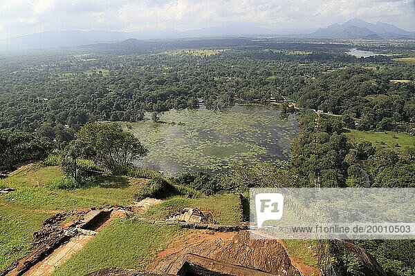 View of lake and forest from rock palace  Sigiriya  Central Province  Sri Lanka  Asia