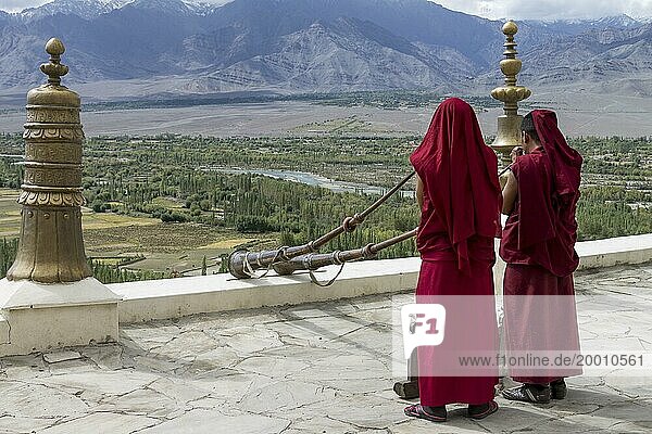 Mönche  die auf dem Dach der Thikse Gompa  einem großen buddhistischen Kloster in Ladakh mit Blick auf das Industal tibetische Hörner  Dungchen  spielen. Viele Bewohner dieser indischen Region  die oft als Klein Tibet bezeichnet wird  folgen dem tibetischen Buddhismus. Bezirk Leh  Unionsterritorium Ladakh  Indien  Asien