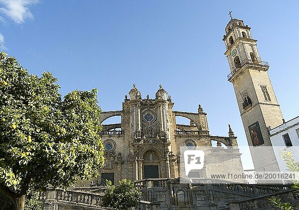 Kathedralkirche in Jerez de la Frontera  Provinz Cádiz  Spanien  Europa