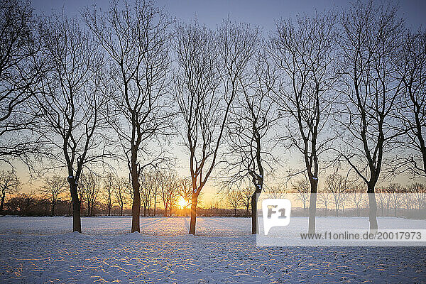 Winterlicher Januar-Nachmittag in der Feldmark von Schenefeld  Kreis Pinneberg. Die tiefstehende Sonne schickt ihre Strahlen über die verschneiten Weiden