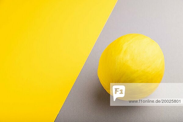 Reife gelbe Melone auf grauem und gelbem Pastellhintergrund. Seitenansicht  Kopie Raum. Ernte  gesund  vegane Lebensmittel  Konzept  Minimalismus